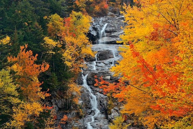 Colorful Autumn creek, White Mountain, New Hampshire.