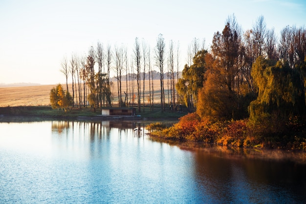 Fogliame di autunno colorato sul lago