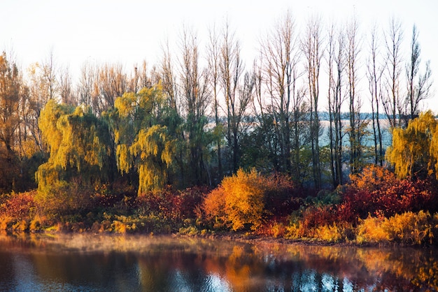 Colorful autumn foliage on Lake