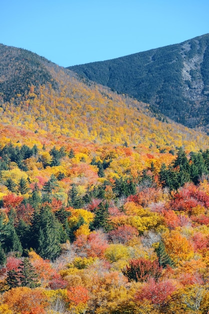 Colorful Autumn foliage in White Mountain, New Hampshire.