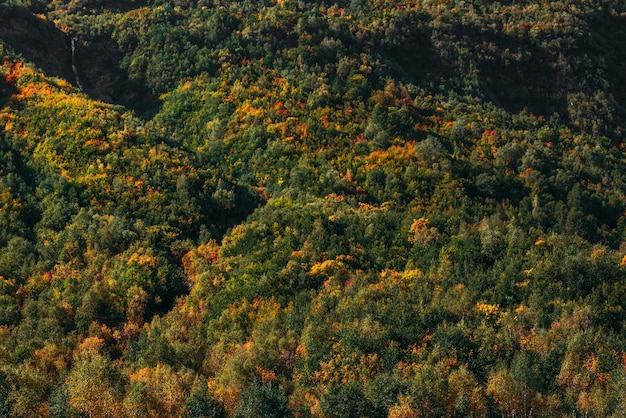 Colorful autumn forest, horizontal view. Mountain forest in autumn. Colorful mountains in autumn. Beautiful autumn landscape. Copy space