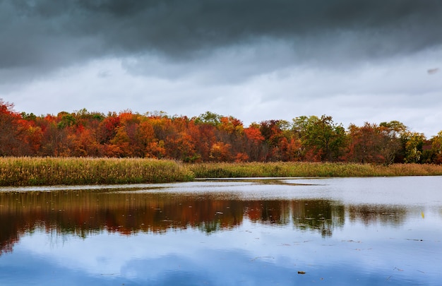 Colorful autumn forest lake river sky clouds Cirrus