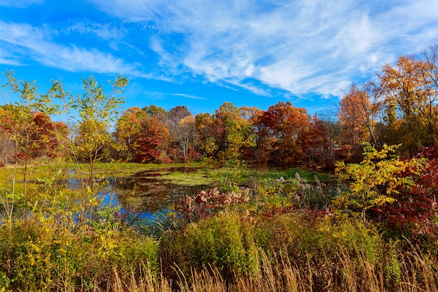 Colorful autumn forest lake river sky clouds