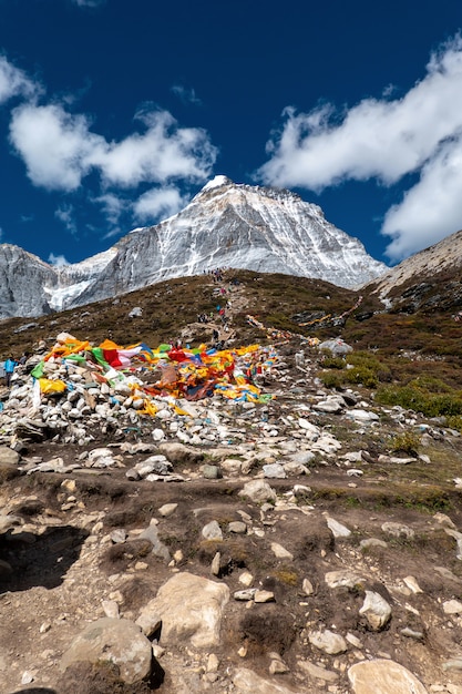 Variopinto nella foresta di autunno e montagna della neve alla riserva naturale di yading, l'ultima shangri la, daocheng-yading, sichuan, cina.