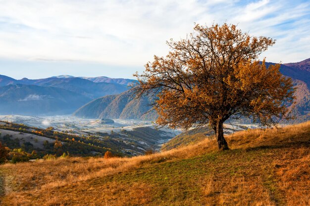 Colorful autumn landscape in the mountain village Foggy morning in the Carpathian mountains Pishkonia Ukraine Europe