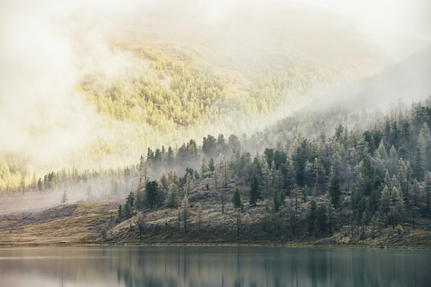 Красочный осенний пейзаж с горным озером и хвойными деревьями с инеем на холме с видом на лесную гору в золотом солнечном свете в низких облаках. Залитые солнцем желтые и морозно-белые лиственницы в тумане.