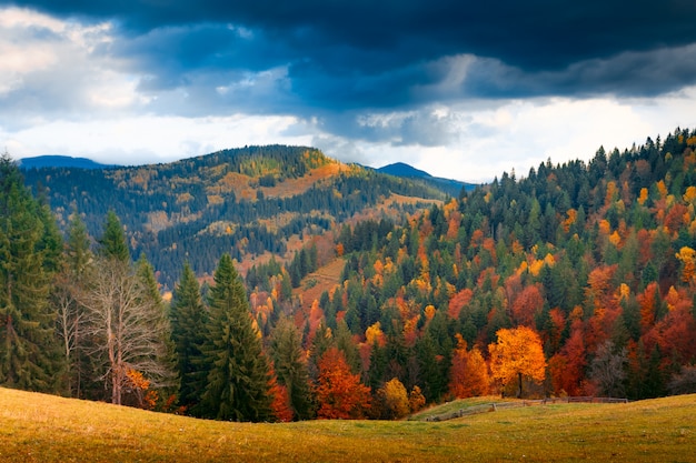 Paesaggio autunnale colorato