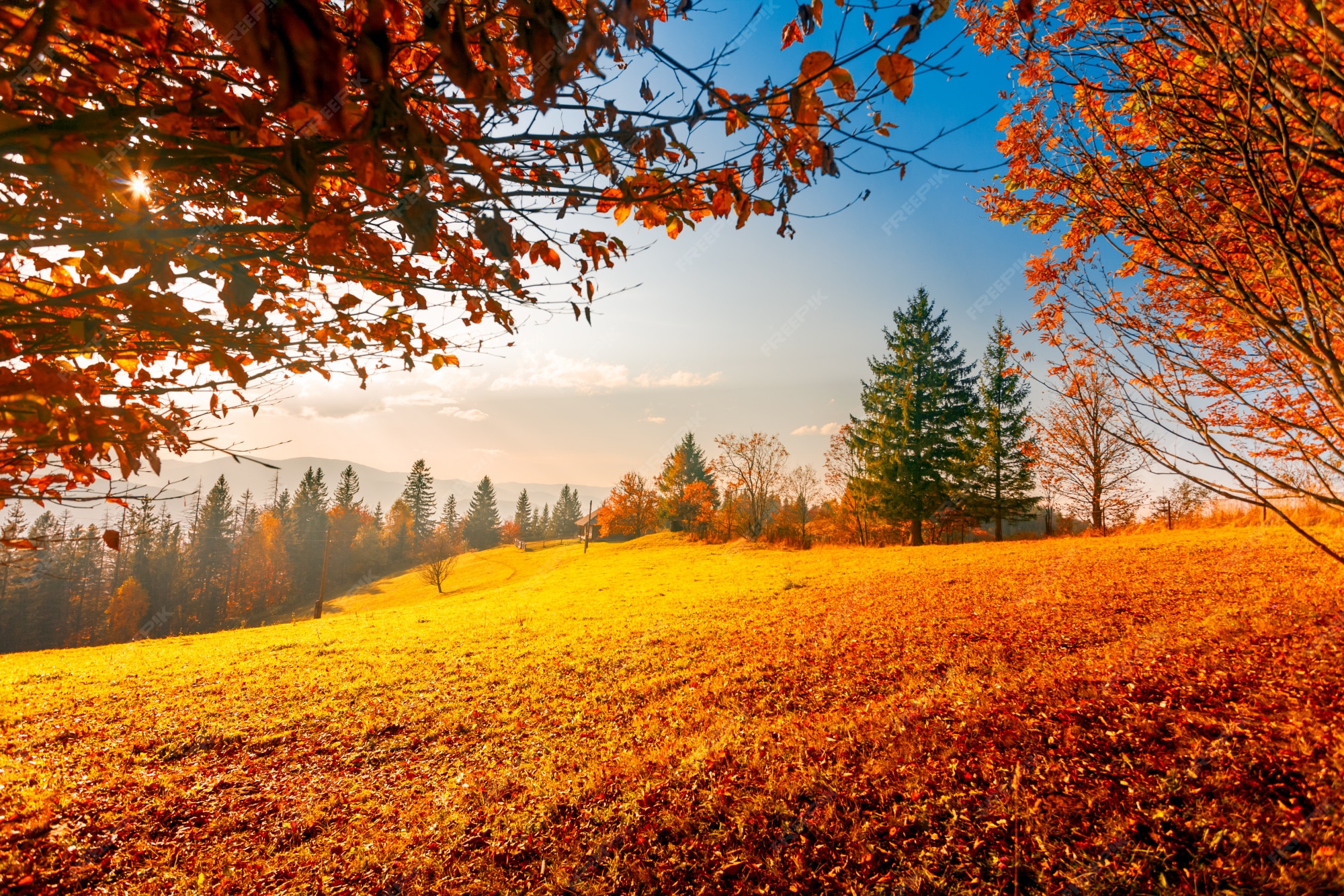 Premium Photo Colorful Autumn Landscape