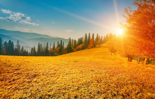 Paesaggio autunnale colorato