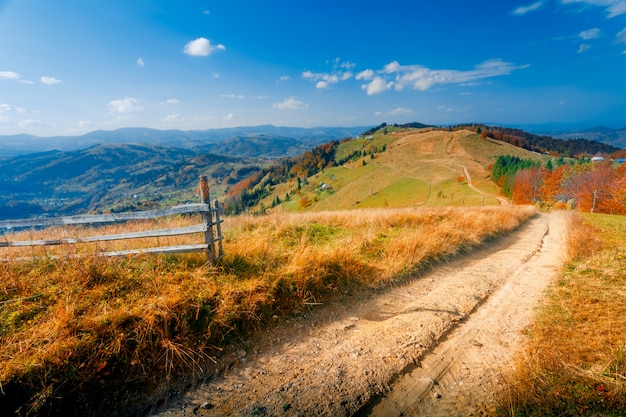 Colorful autumn landscape