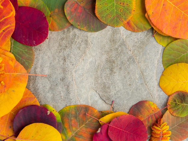 Colorful autumn leaves background on the stone