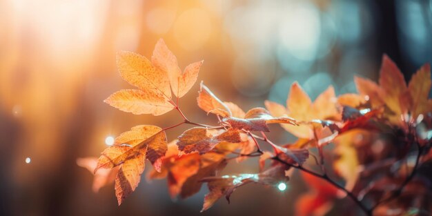 Photo colorful autumn leaves background