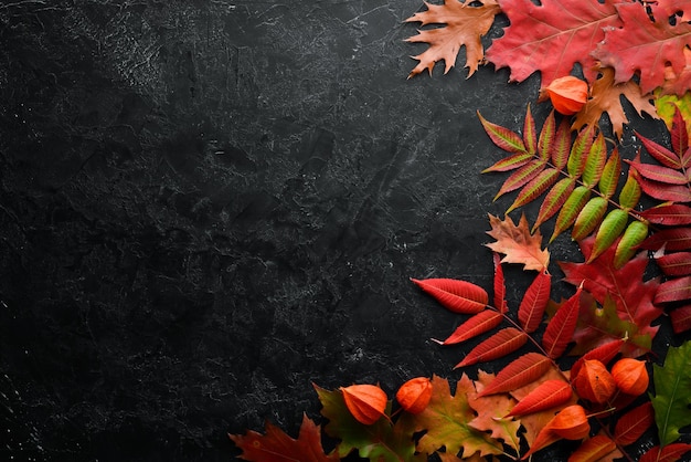 Colorful autumn leaves flat lay On a black stone background Top view Free space for your text