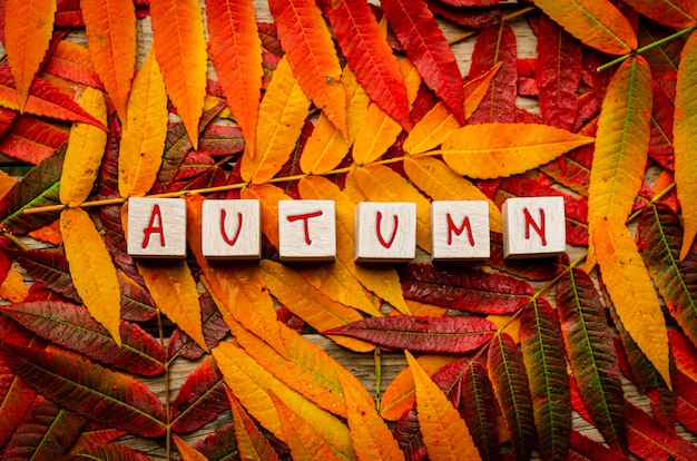 Photo colorful autumn leaves on gray wood with the word autumn