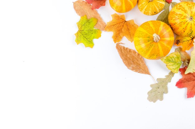 Colorful autumn leaves and pumpkin on white background. Copy space for text. Autumn, fall or thanksgiving day concept. Flat lay, top view,