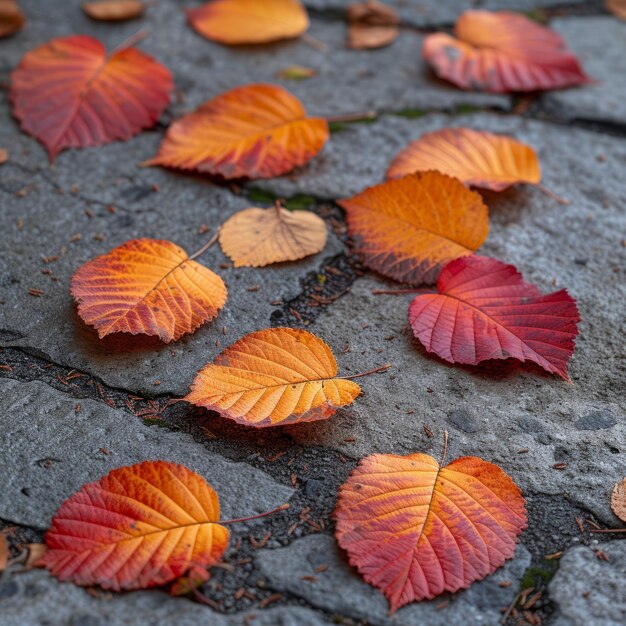 Colorful autumn leaves on the stone ground