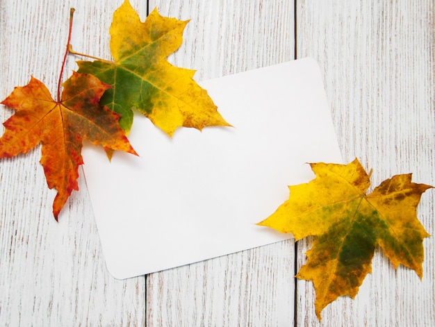 Colorful autumn leaves with card