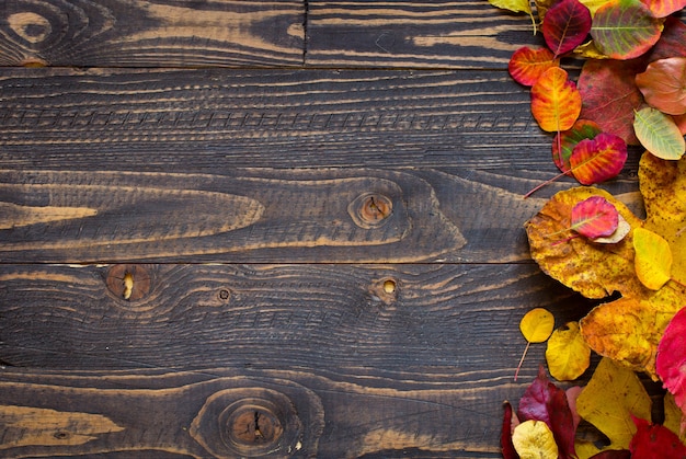 Colorful autumn leaves, over a wooden background