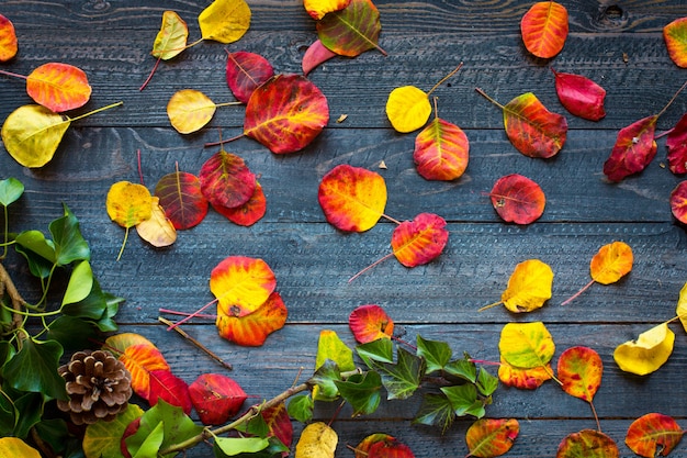 Colorful autumn leaves, over a wooden surface