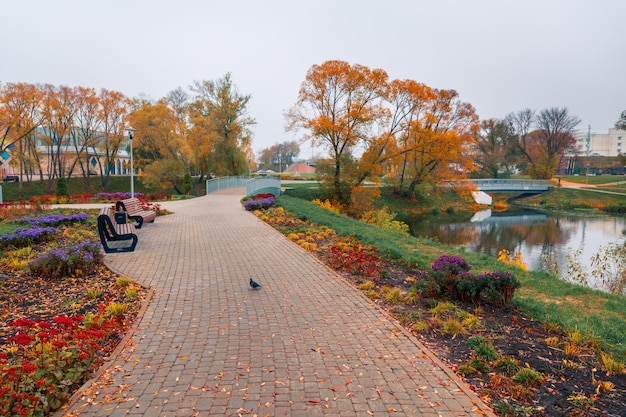 カラフルな秋の公園。秋の公園で黄色の葉で秋の木々。ベルゴロド。ロシア。