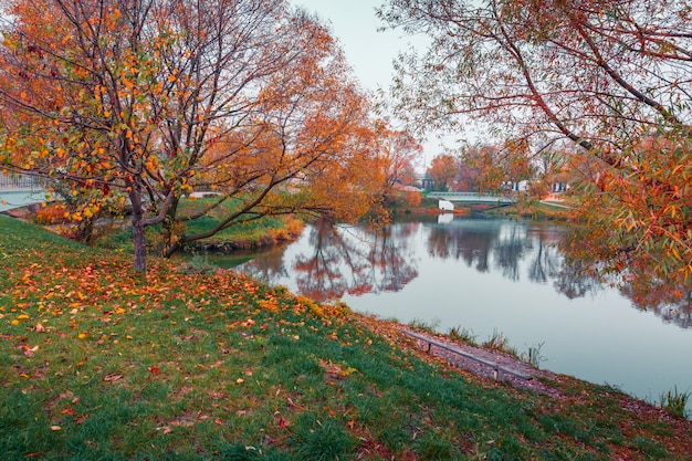 カラフルな秋の公園。秋の公園で黄色の葉で秋の木々。ベルゴロド。ロシア。