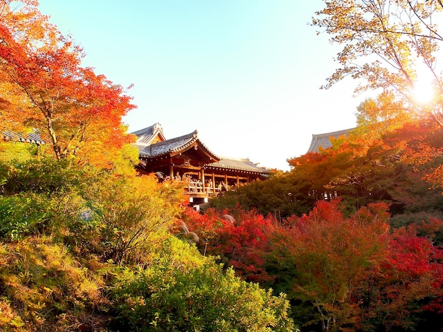 일본 교토 시 도후쿠지 사원의 다채로운 가을 공원