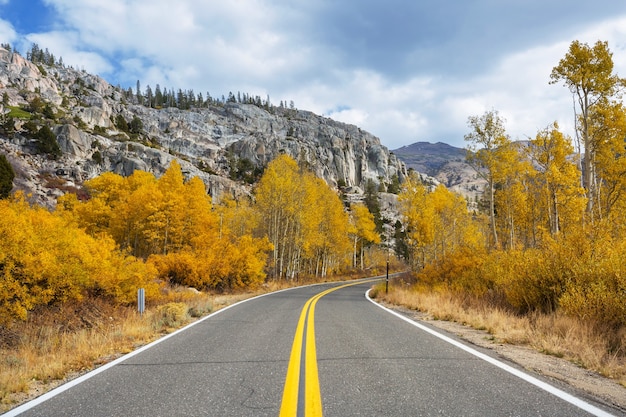 Colorful Autumn scene on countryside road in the forest