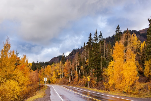 Colorful Autumn scene on countryside road in the sunny morning