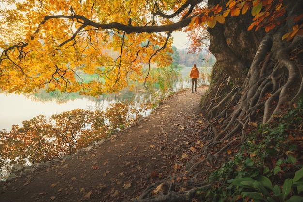 Photo colorful autumn season in plitvice lakes national park from croatia