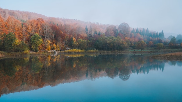 Красочная осень