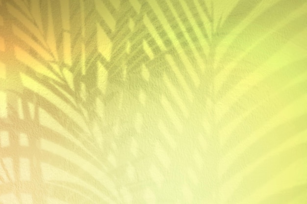 Foto sfondo colorato con palma