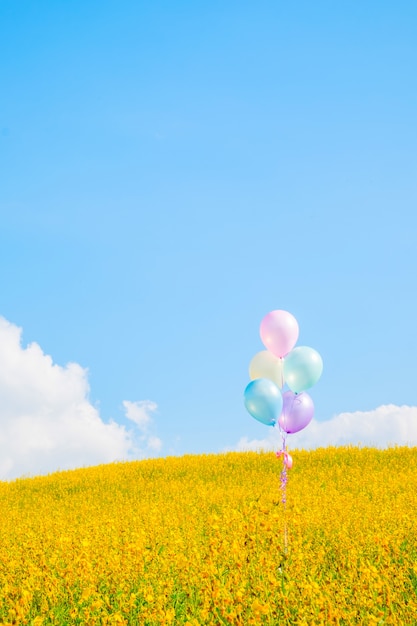 사진 푸른 하늘 배경, 빈티지 효과와 노란 꽃 필드 위에 화려한 풍선