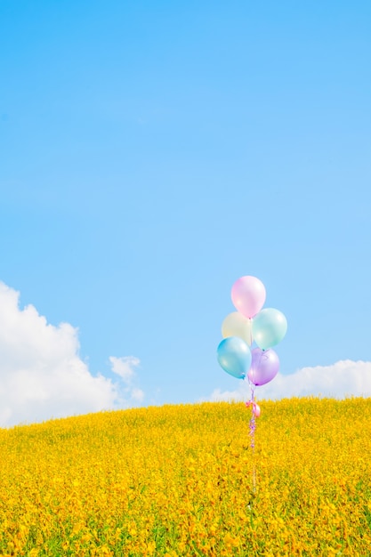 写真 青空の背景、ビンテージ効果と黄色の花畑の上にカラフルな風船