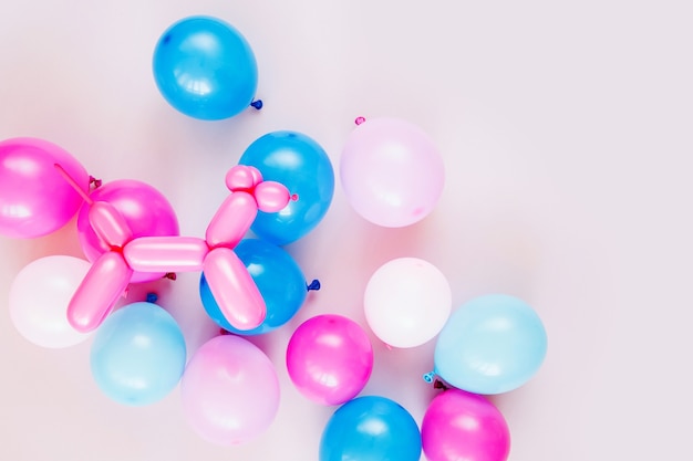 Photo colorful balloons and balloon dogs on pastel color background. festive or birthday party concept. flat lay, top view.