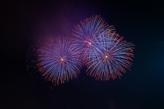 Colorful beautiful fireworks salute against the dark night sky.