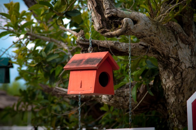 Красочное гнездо птицы на дереве