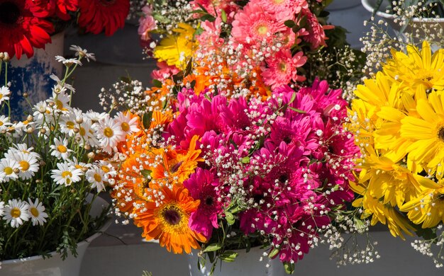 Colorful blooming flowers in vase