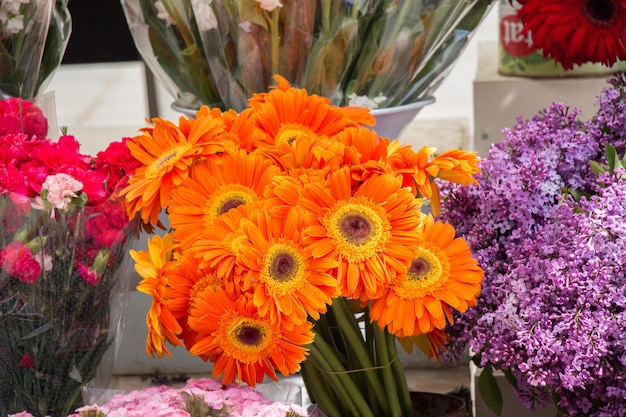 Colorful blooming flowers in vase