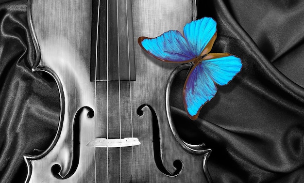 colorful blue tropical morpho butterfly on a violin melody concept