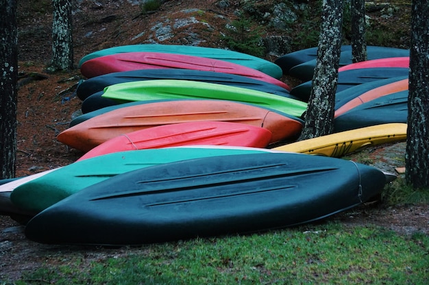 Photo colorful boats on field in forest