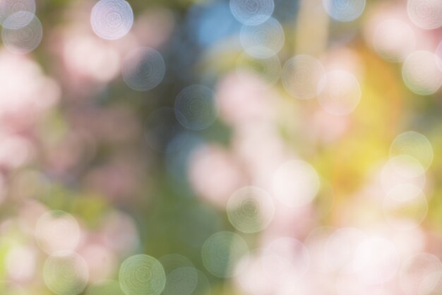 Photo colorful bokeh backgrounds, onion blurred color bokeh backgrounds