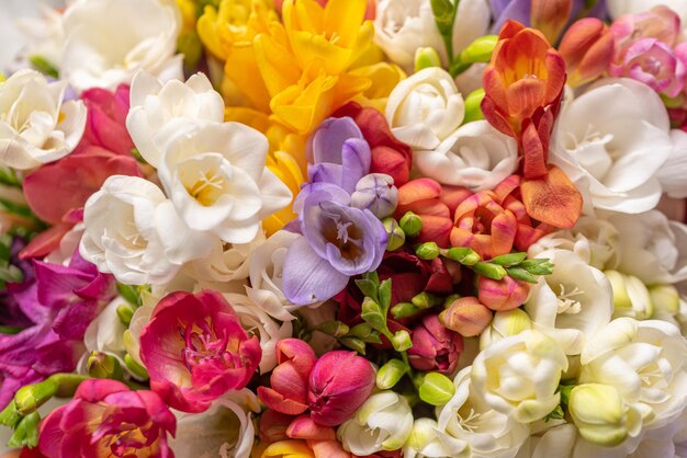 Photo the colorful bouquet of freesia flowers