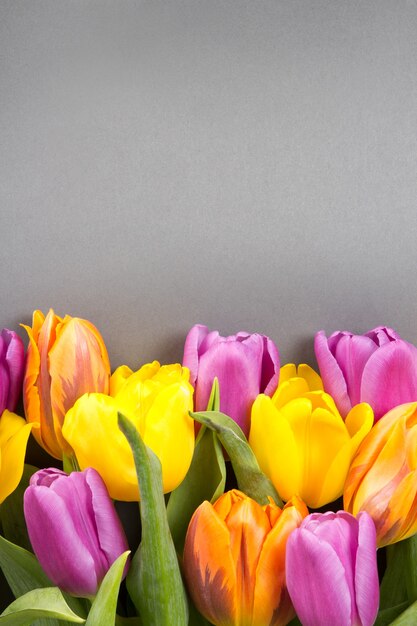 Colorful bouquet of tulip flowers on grey background