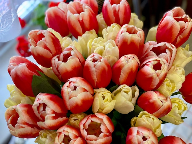 Colorful bouquet of tulips Beautiful tulips in the bouquet wallpaper spring postcard natural