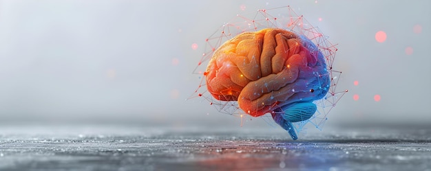 Colorful brain with vibrant neural network showcasing convergent thinking and cognitive function Concept Cognitive Function Convergent Thinking Vibrant Neural Network Colorful Brain