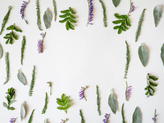 Colorful bright pattern of meadow herbs and flowers on white background. Flat lay, top view, natural background