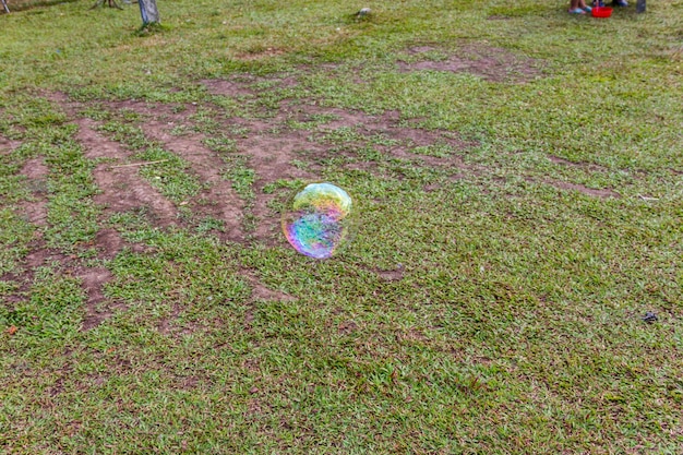 A colorful bubble with a green defocused background