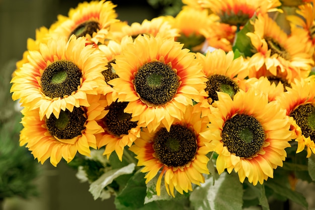 Colorful bunch of yellow sunflowers