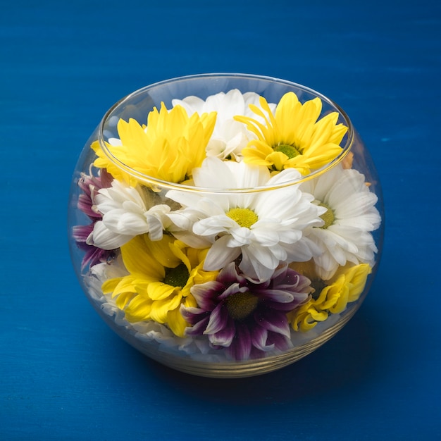 青い背景のガラスの花瓶にカラフルな菊。コピースペース