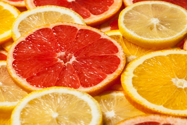 Colorful citrus fruit slices